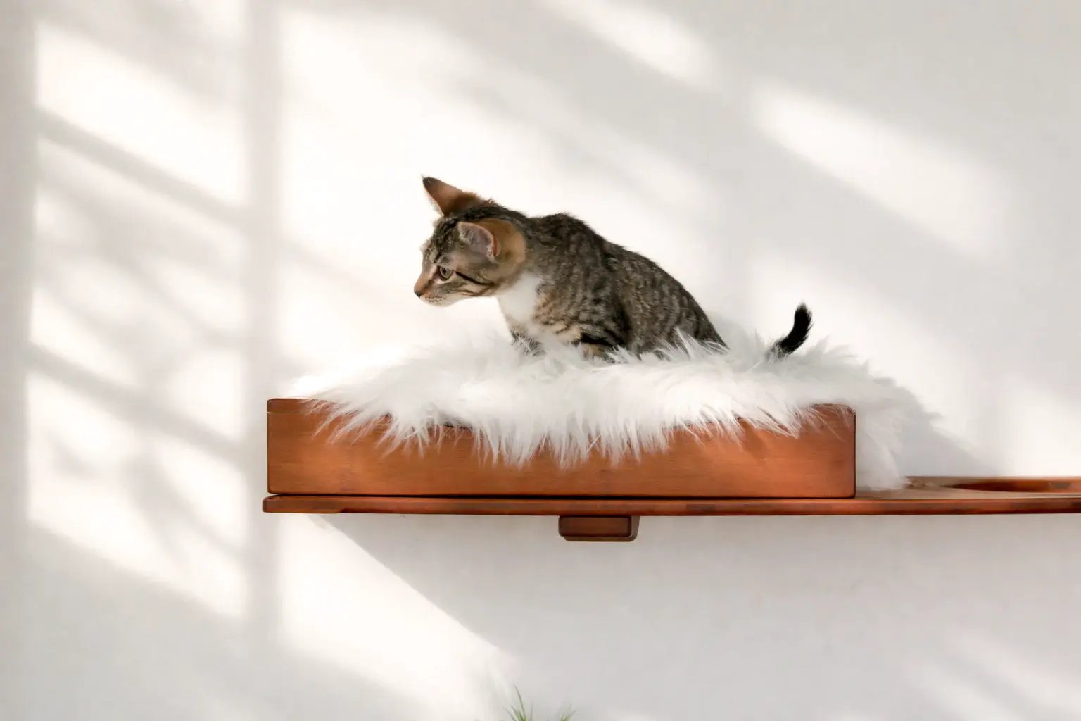 The Cat Nest Bed on a wooden cat shelf with fluffy white fur lining by Catastrophic Creations
