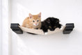 Load image into Gallery viewer, Hanging Cat Bed Hammock by Catastrophic Creations with two kittens on beige fabric in black brackets.
