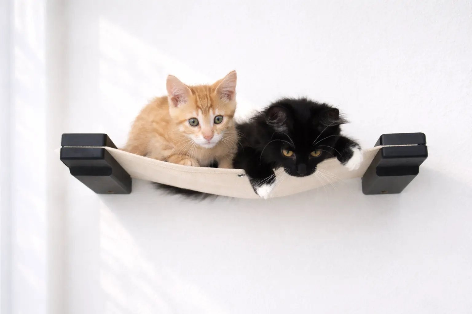Hanging Cat Bed Hammock by Catastrophic Creations with two kittens on beige fabric in black brackets.