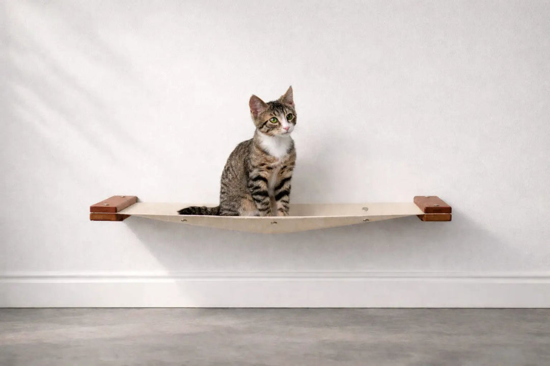 Catastrophic Creations Hanging Cat Bed Hammock, beige fabric cat perch on wall with wooden ends