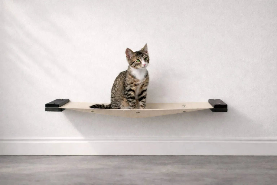 Hanging cat bed hammock by Catastrophic Creations; beige fabric cat perch with black brackets and a seated tabby cat.