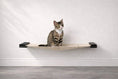 Load image into Gallery viewer, Hanging cat bed hammock by Catastrophic Creations; beige fabric cat perch with black brackets and a seated tabby cat.
