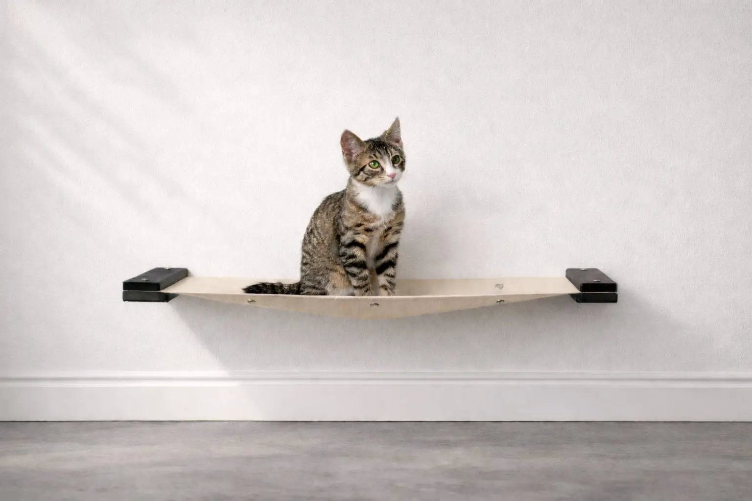 Hanging cat bed hammock by Catastrophic Creations; beige fabric cat perch with black brackets and a seated tabby cat.