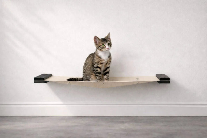 Hanging cat bed hammock by Catastrophic Creations; beige fabric cat perch with black brackets and a seated tabby cat.