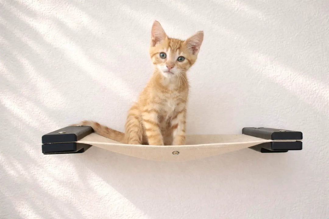 Hanging Cat Bed Hammock in beige fabric with black mounting brackets, cat sitting inside.