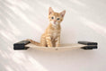 Load image into Gallery viewer, Hanging Cat Bed Hammock in beige fabric with black mounting brackets, cat sitting inside.
