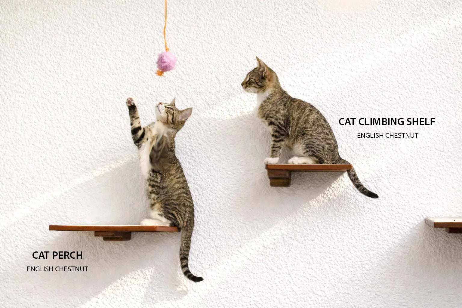 Cat Climbing Shelf, English Chestnut, with two wooden perches; two tabby cats play by a pink hanging toy.