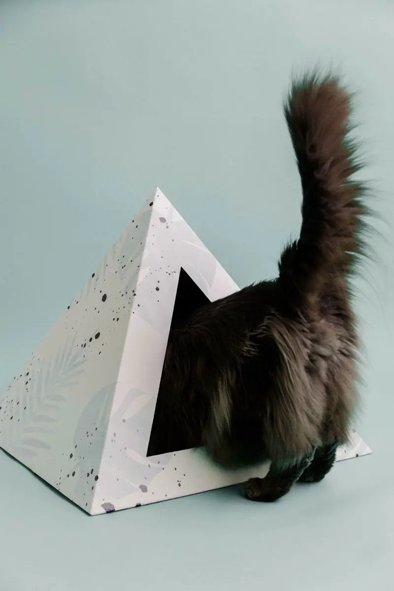 Kitty Kardboard Premium Cardboard Cat Pyramid Modern Sleek Home Decor And Cozy Cat Hideaway by KittyKardboard