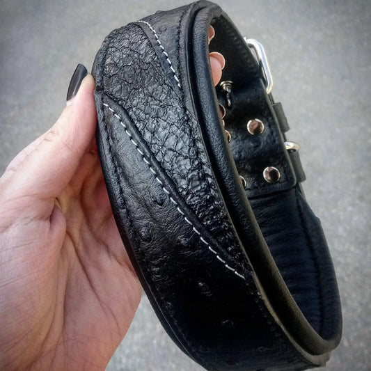 The "Korona" collar BLACK EDITION - Pet Collars & Harnesses from Bestia Dog Gear