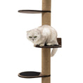 Bild in Galerie-Betrachter laden, Enjoy The Wood Large Cat Tree Dark Walnut Sturdy Plywood Playground by Enjoy The Wood
