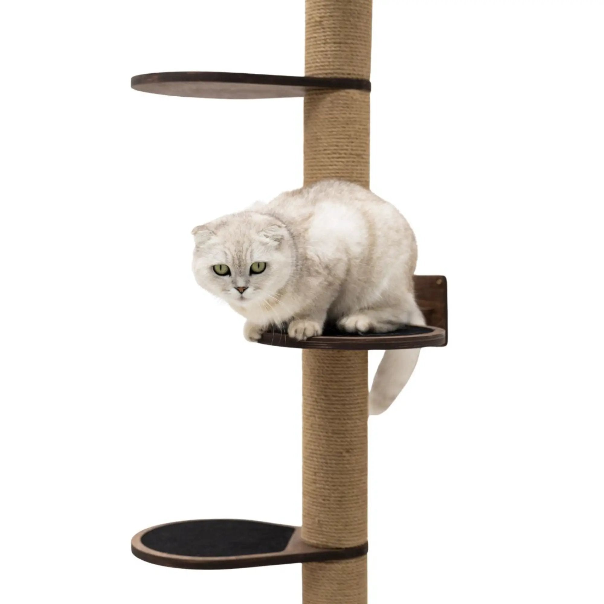 Enjoy The Wood Large Cat Tree Dark Walnut Sturdy Plywood Playground by Enjoy The Wood