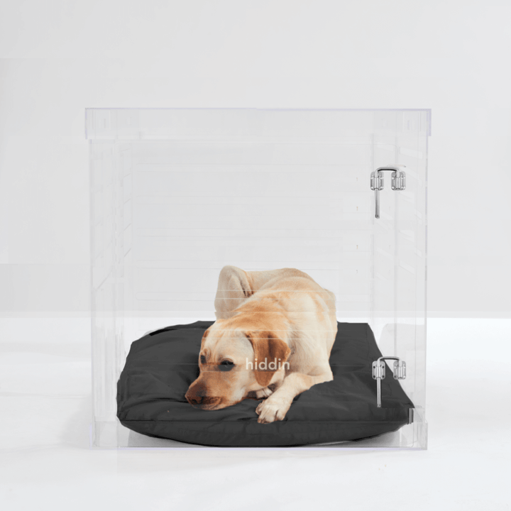 Hiddin Clear Acrylic Dog Crate – Large, Silver Latch