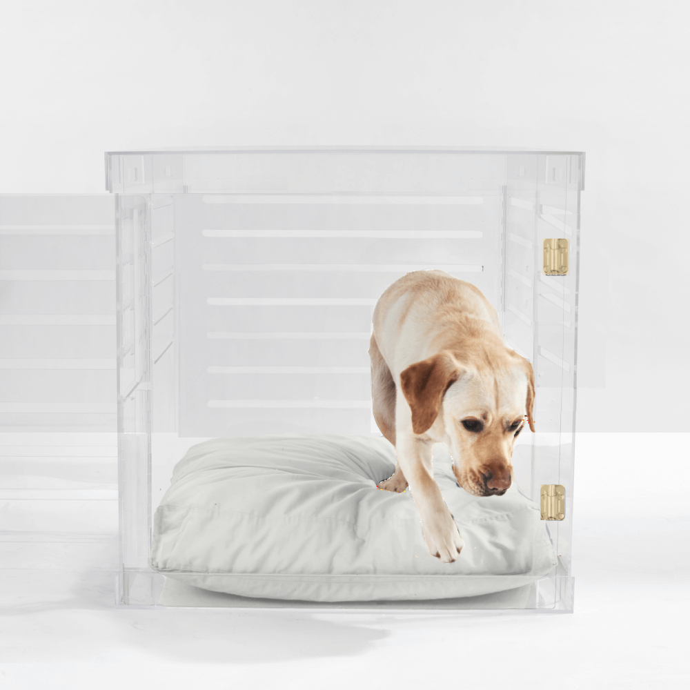 Hiddin Clear Acrylic Dog Crate – Large, Gold Latch
