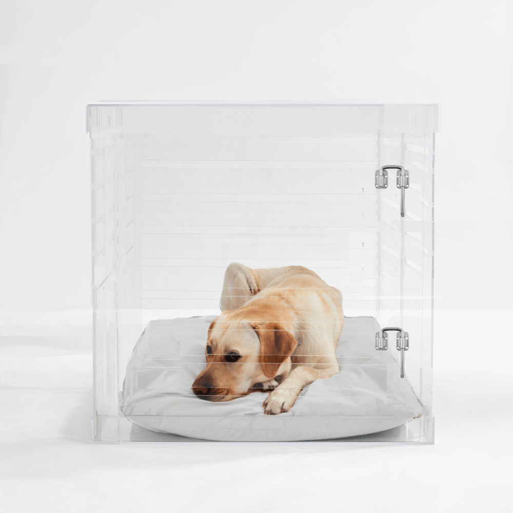 Hiddin Clear Acrylic Dog Crate – Large, Silver Latch