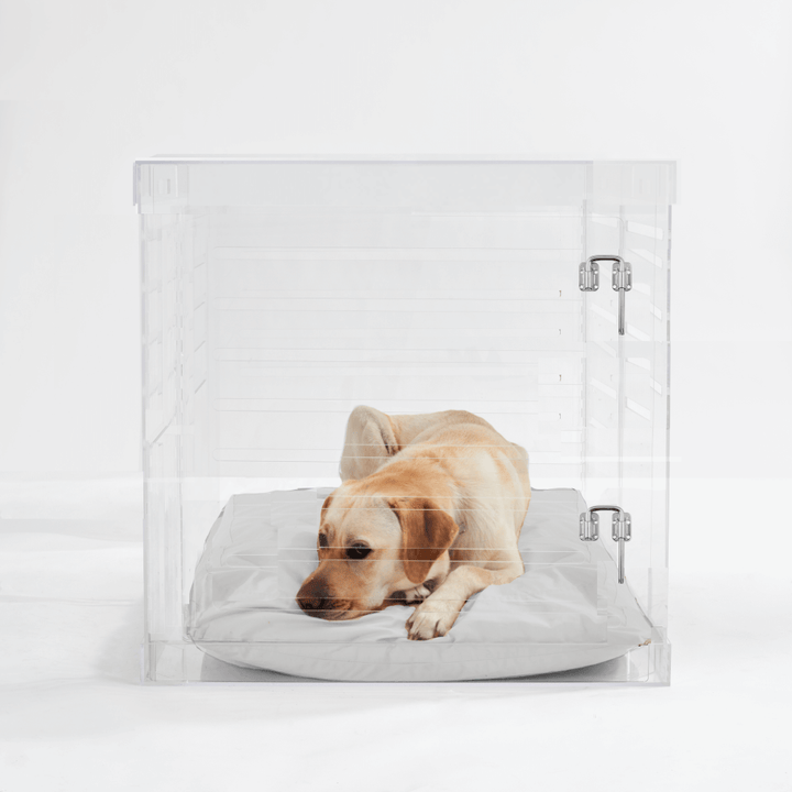 Hiddin Clear Acrylic Dog Crate – Large, Silver Latch