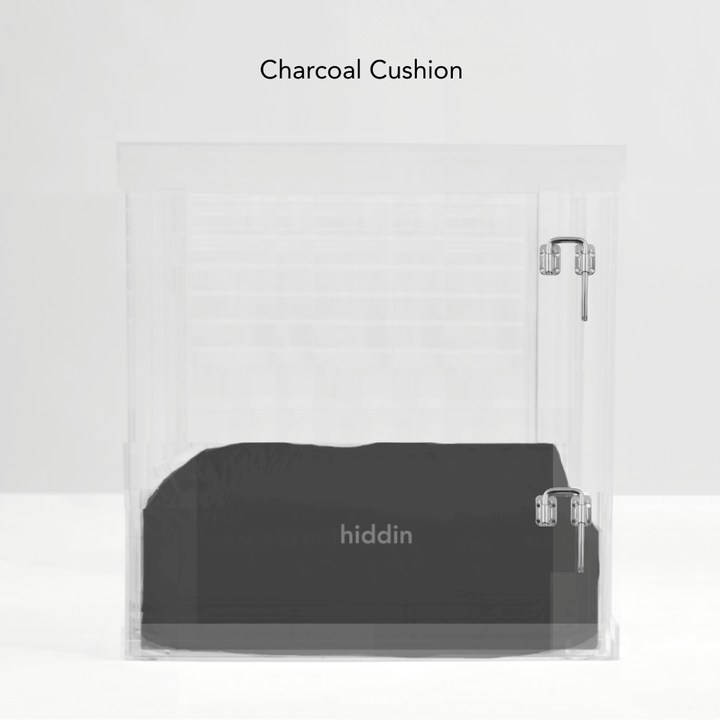 Hiddin Clear Acrylic Dog Crate – Large, Silver Latch