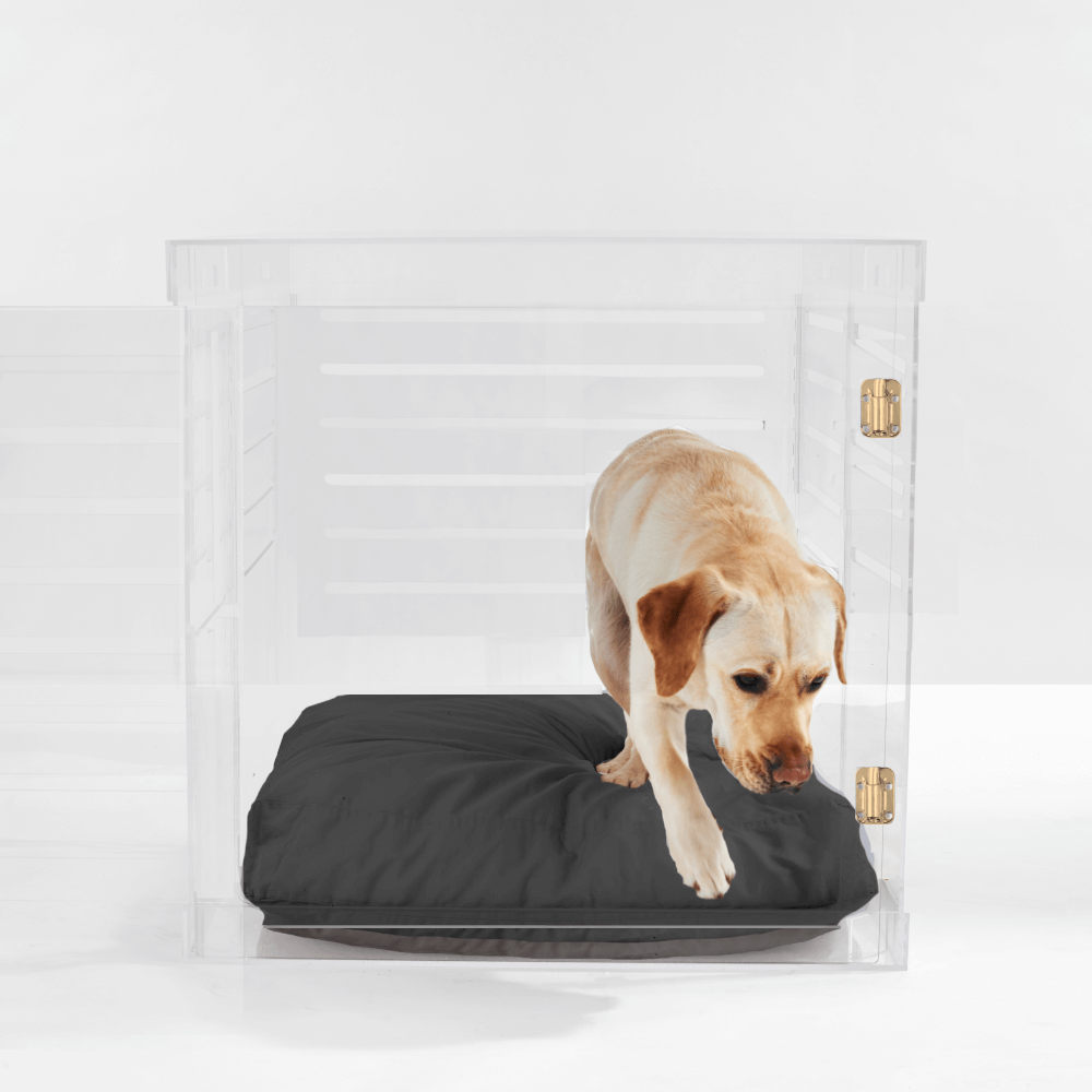 Hiddin Clear Acrylic Dog Crate – Large, Gold Latch