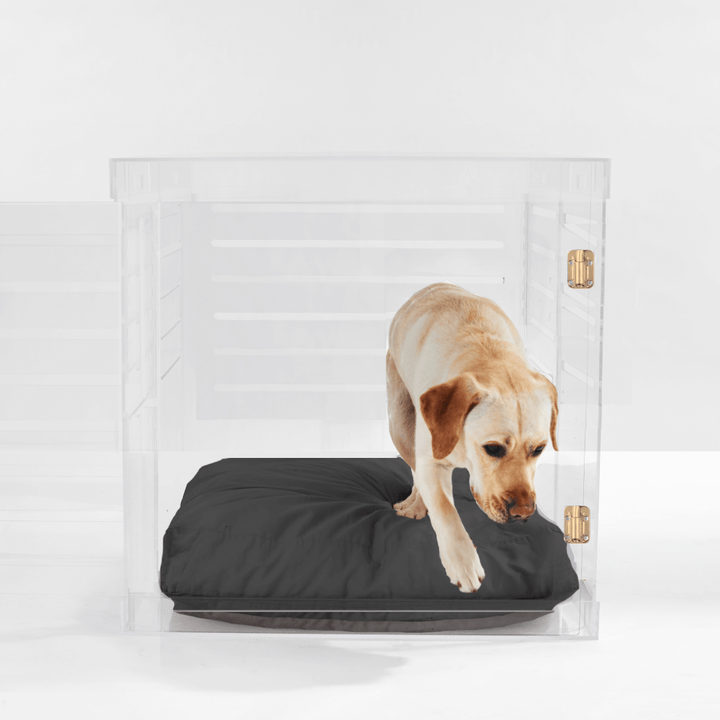 Hiddin Clear Acrylic Dog Crate – Large, Gold Latch