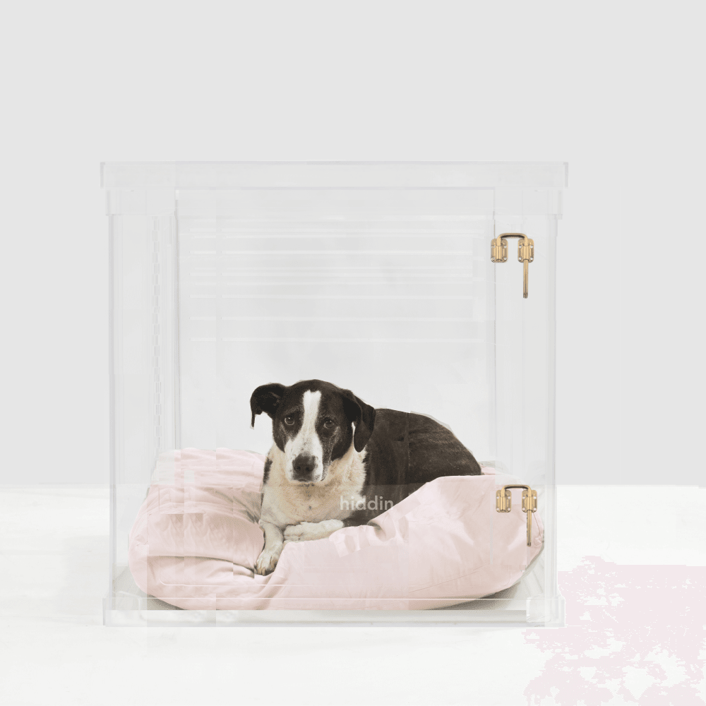 Hiddin Clear Acrylic Dog Crate – Large, Gold Latch