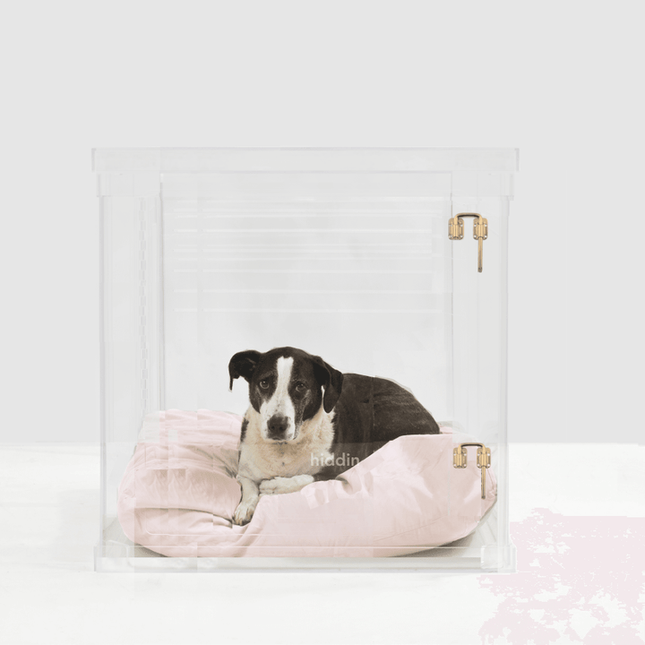 Hiddin Clear Acrylic Dog Crate – Large, Gold Latch