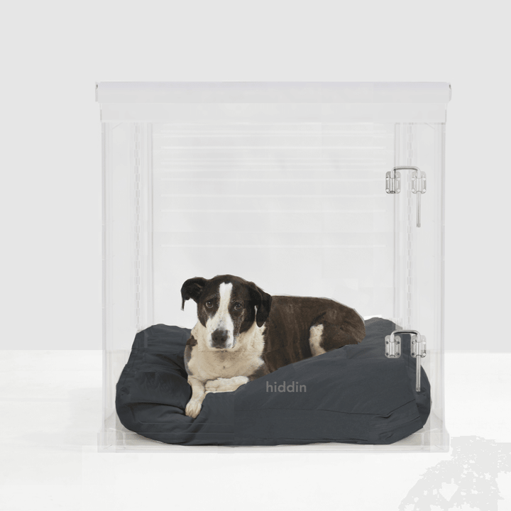 Hiddin Clear Acrylic Dog Crate – Large, Silver Latch