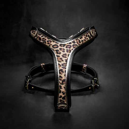 Bestia Dog Gear Leopard Harness Durable Design And Elegance Limited Edition Pre Order Available For Dogs by Bestia Dog Gear
