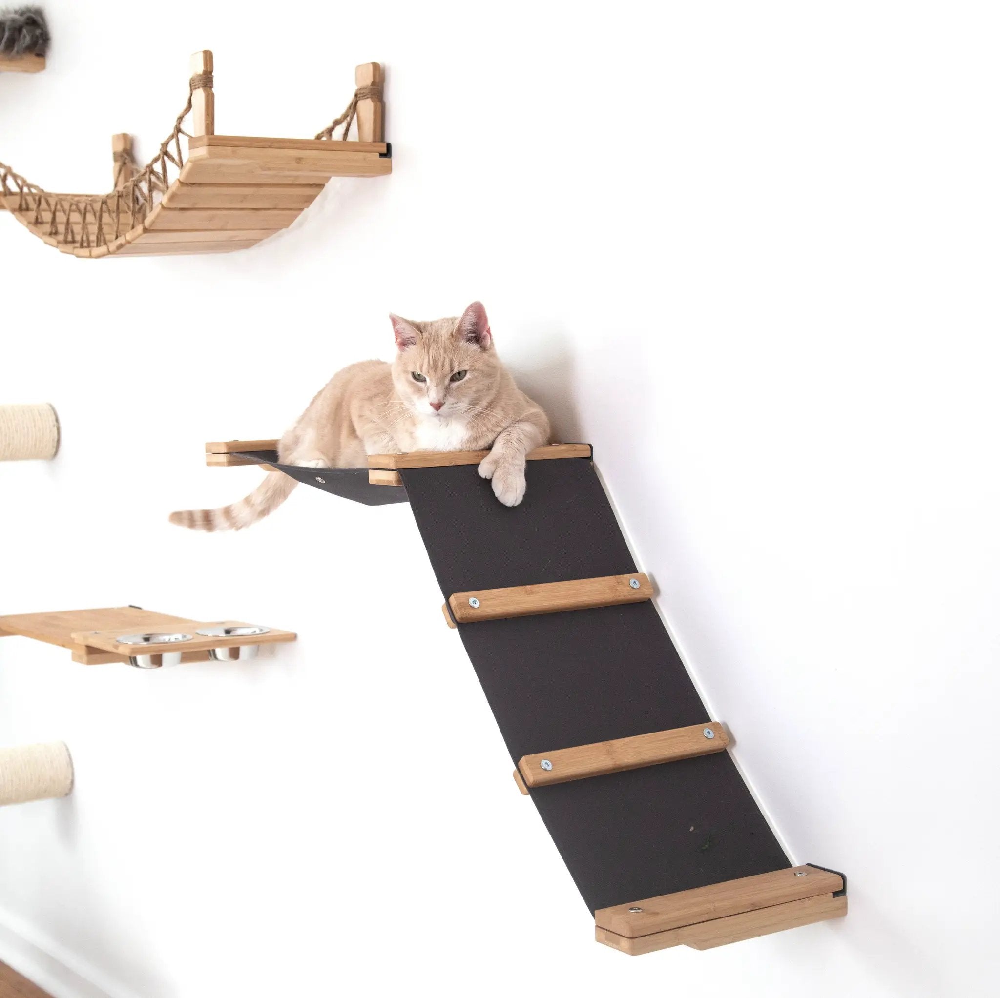 The Lift Cat Hammock Bed by Catastrophic Creations; natural wood and black fabric ramp, cat lounging.