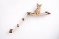 Load image into Gallery viewer, The Lift-Cat Hammock Bed cat hammock by Catastrophic Creations in beige fabric with wooden ramp and steps, orange tabby.
