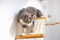 Load image into Gallery viewer, The Lift- Cat Hammock Bed, beige fabric hammock with a wooden frame, cat perched on the edge.
