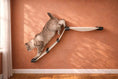 Load image into Gallery viewer, The Lift- Cat Hammock Bed; cream fabric cat hammock with black end brackets on a wall-mounted ramp
