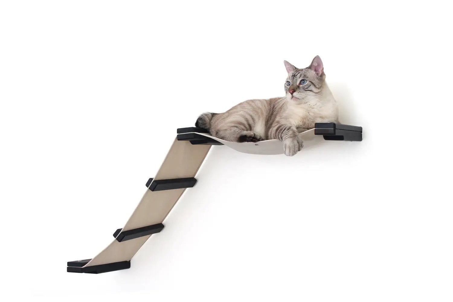 The Lift Cat Hammock Bed by Catastrophic Creations, beige hammock on a wooden ramp with black clamps, cat lounging.