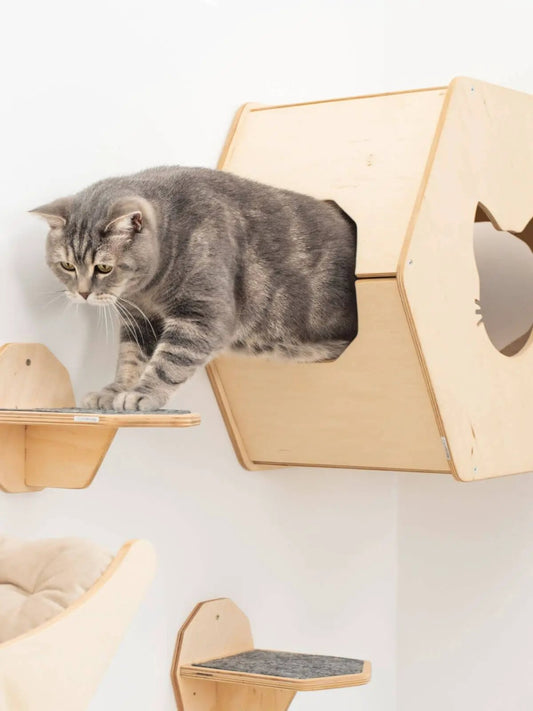Small Cat House by Enjoy The Wood B2B; natural wood cat condo set with a cat at the entrance.