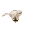 Load image into Gallery viewer, Enjoy The Wood Wooden Cat Step Light Safe Elevation Bridge For Pets With Durable Ergonomic Design by Enjoy The Wood
