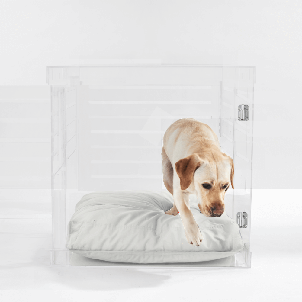 Hiddin Clear Acrylic Dog Crate – Large, Silver Latch