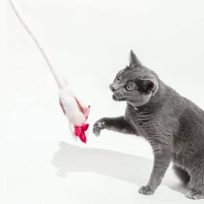 A Little &