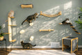 Load image into Gallery viewer, Cat Bridge for Wall by Catastrophic Creations with natural wood perches and rope bridge
