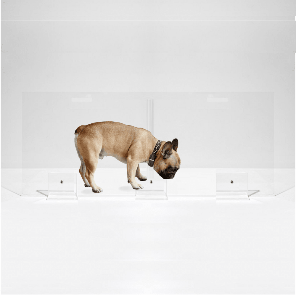 Hiddin Clear Acrylic Panel Pet Gate – Freestanding, 24 in High