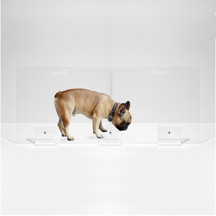 Hiddin Clear Acrylic Panel Pet Gate – Freestanding, 24 in High