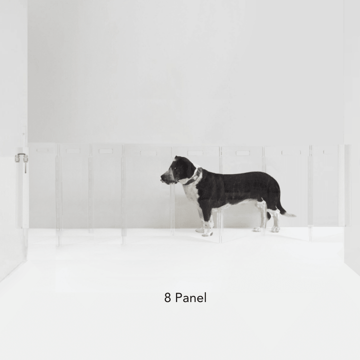 Hiddin Clear Acrylic Wall-Mounted Zig Zag Pet Gate – 24 in High