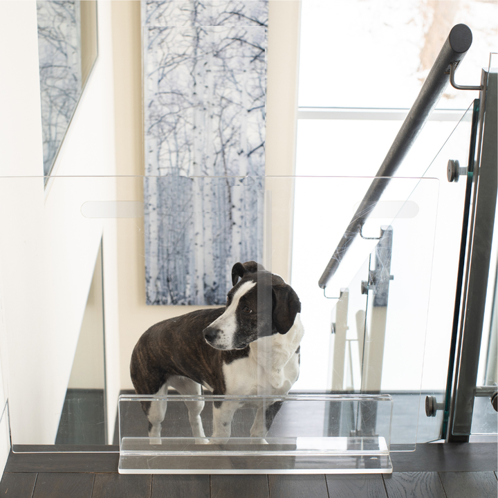Hiddin Clear Acrylic Panel Pet Gate – Freestanding, 24 in High
