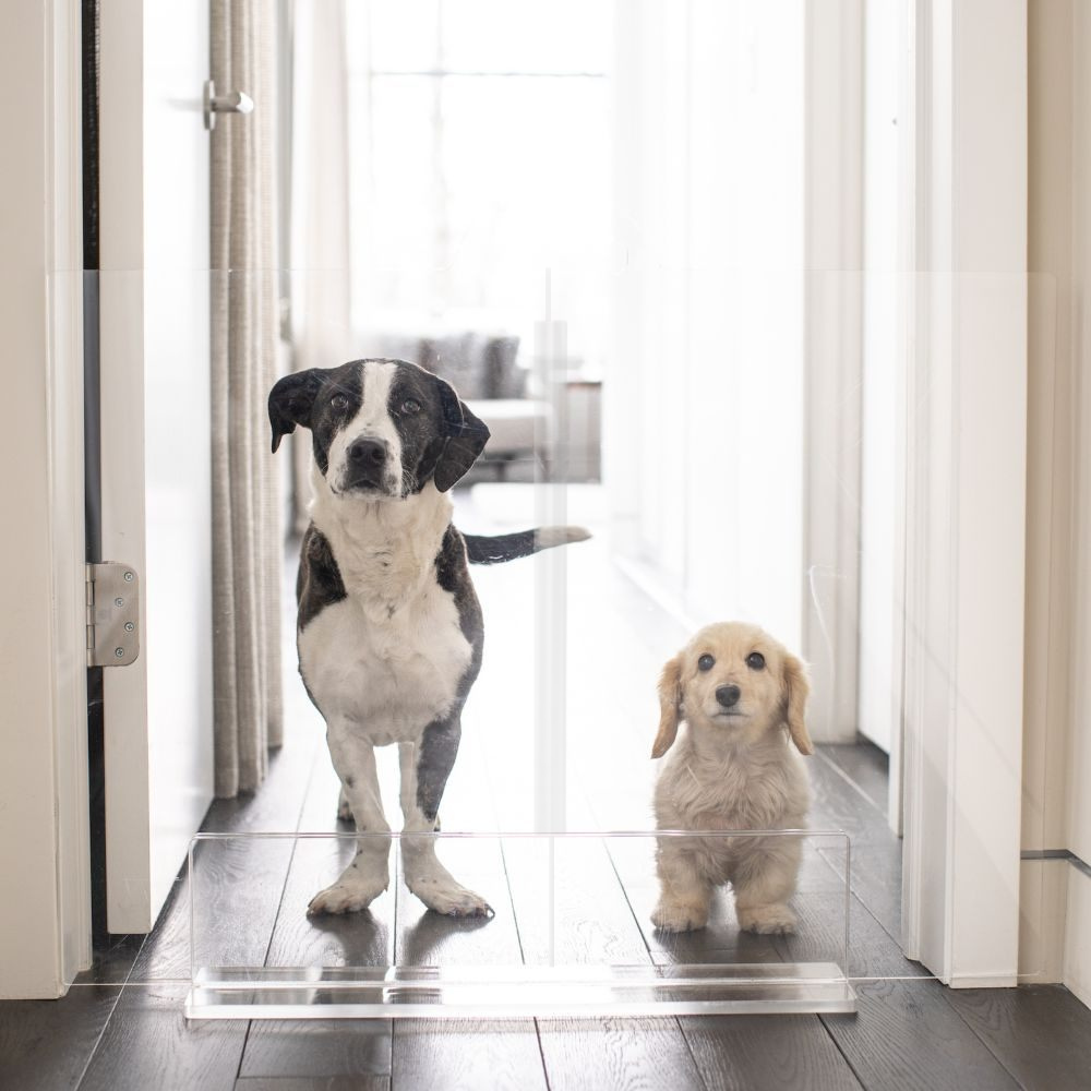 Hiddin Clear Acrylic Panel Pet Gate – Freestanding, 24 in High