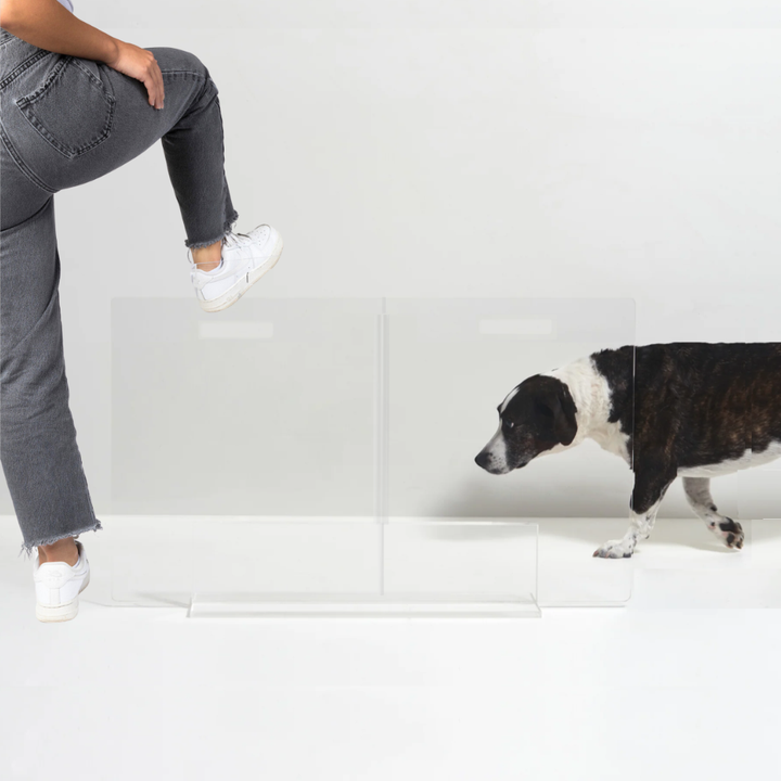 Hiddin Clear Acrylic Panel Pet Gate – Freestanding, 24 in High