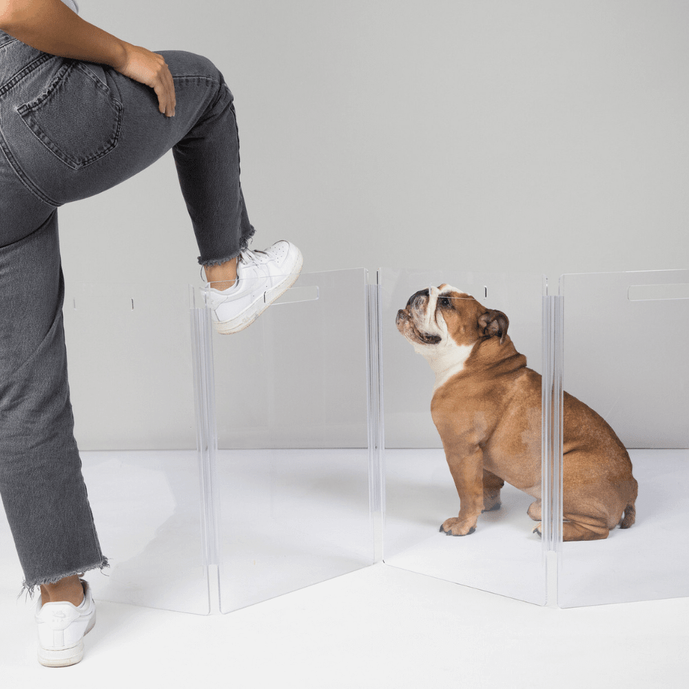 Hiddin Clear Acrylic Wall-Mounted Zig Zag Pet Gate – 24 in High