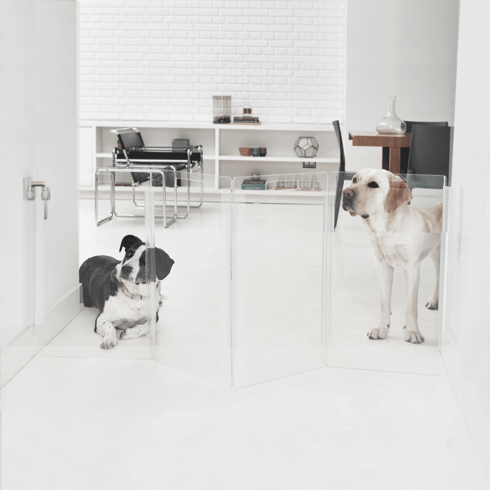 Hiddin Clear Acrylic Wall-Mounted Zig Zag Pet Gate – 24 in High