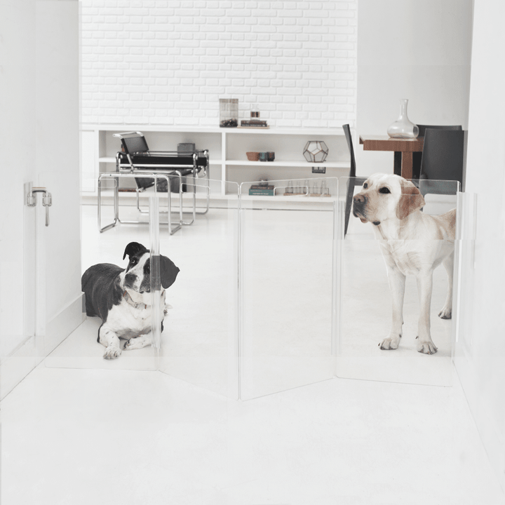 Hiddin Clear Acrylic Wall-Mounted Zig Zag Pet Gate – 24 in High