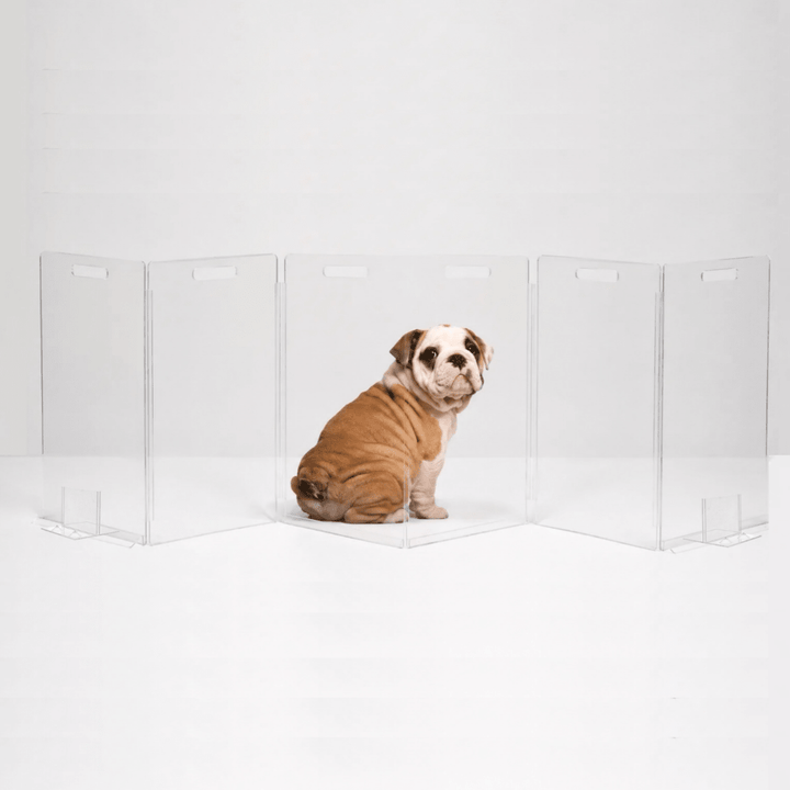 Hiddin Low Clear Acrylic Zig Zag Pet Gate – Freestanding, 24 in High
