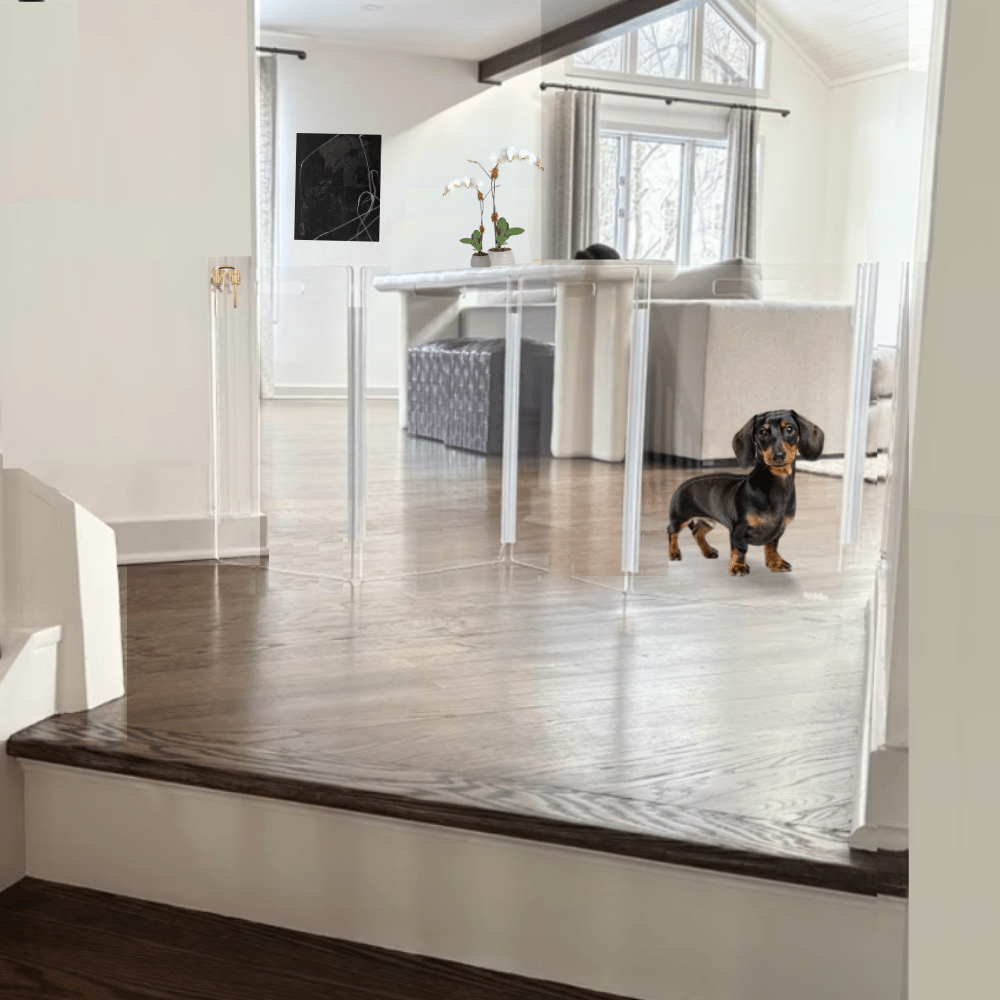 Hiddin Clear Acrylic Wall-Mounted Zig Zag Pet Gate – 24 in High