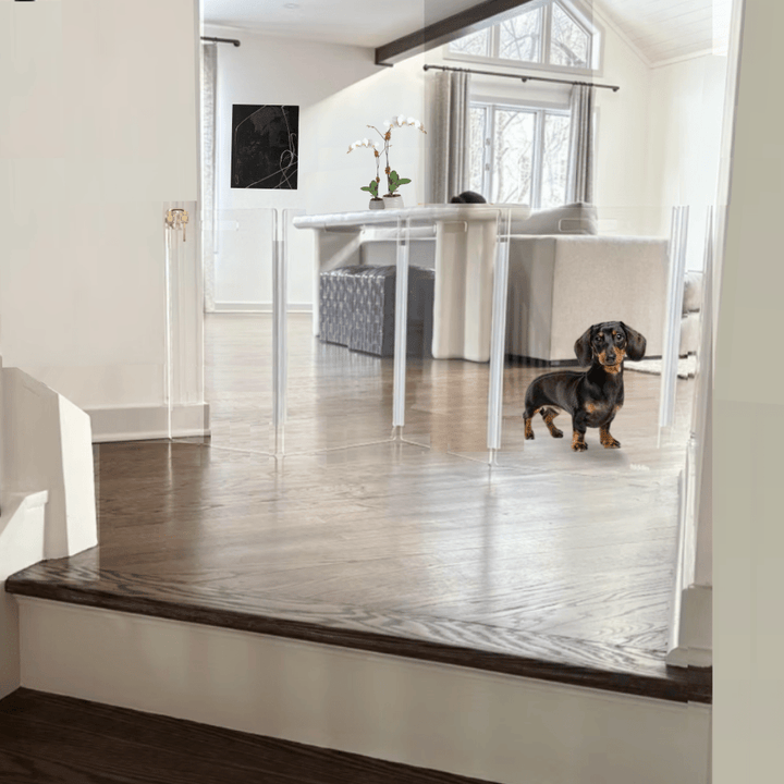 Hiddin Clear Acrylic Wall-Mounted Zig Zag Pet Gate – 24 in High