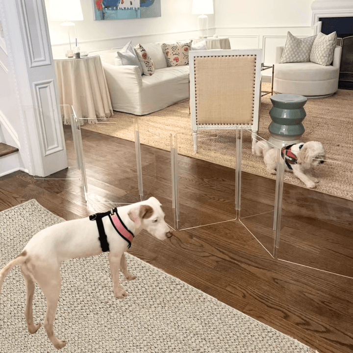 Hiddin Low Clear Acrylic Zig Zag Pet Gate – Freestanding, 24 in High