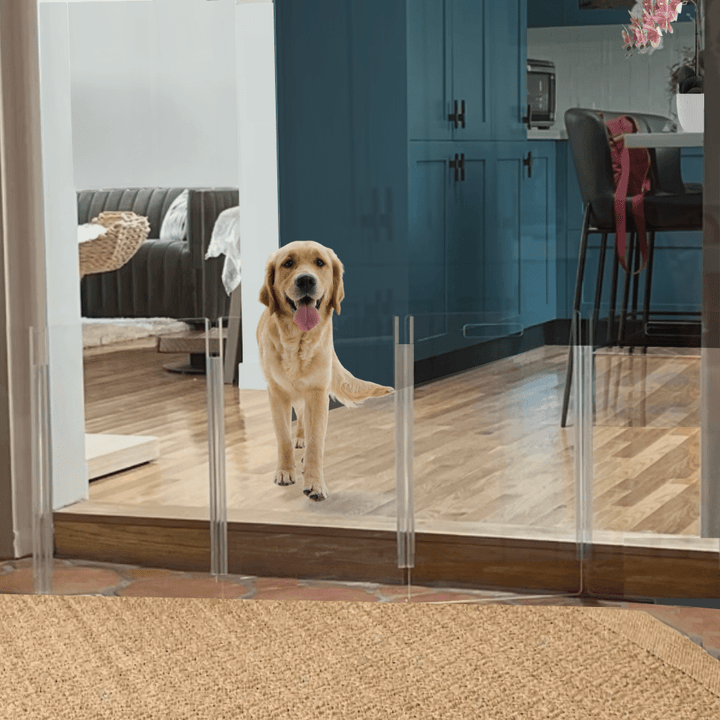Hiddin Low Clear Acrylic Zig Zag Pet Gate – Freestanding, 24 in High
